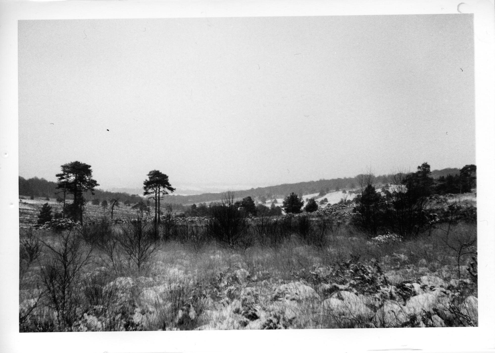 Ashdown forest in winter photographed and printing using traditional photographic techniques