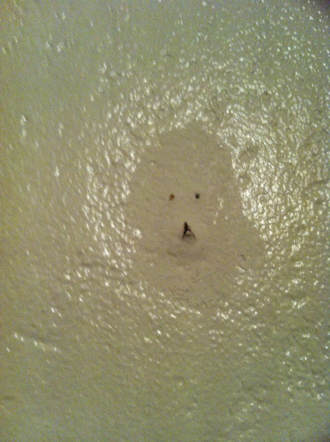 pareidolia, face on wall , found, faces in stuff, face, inanimate,