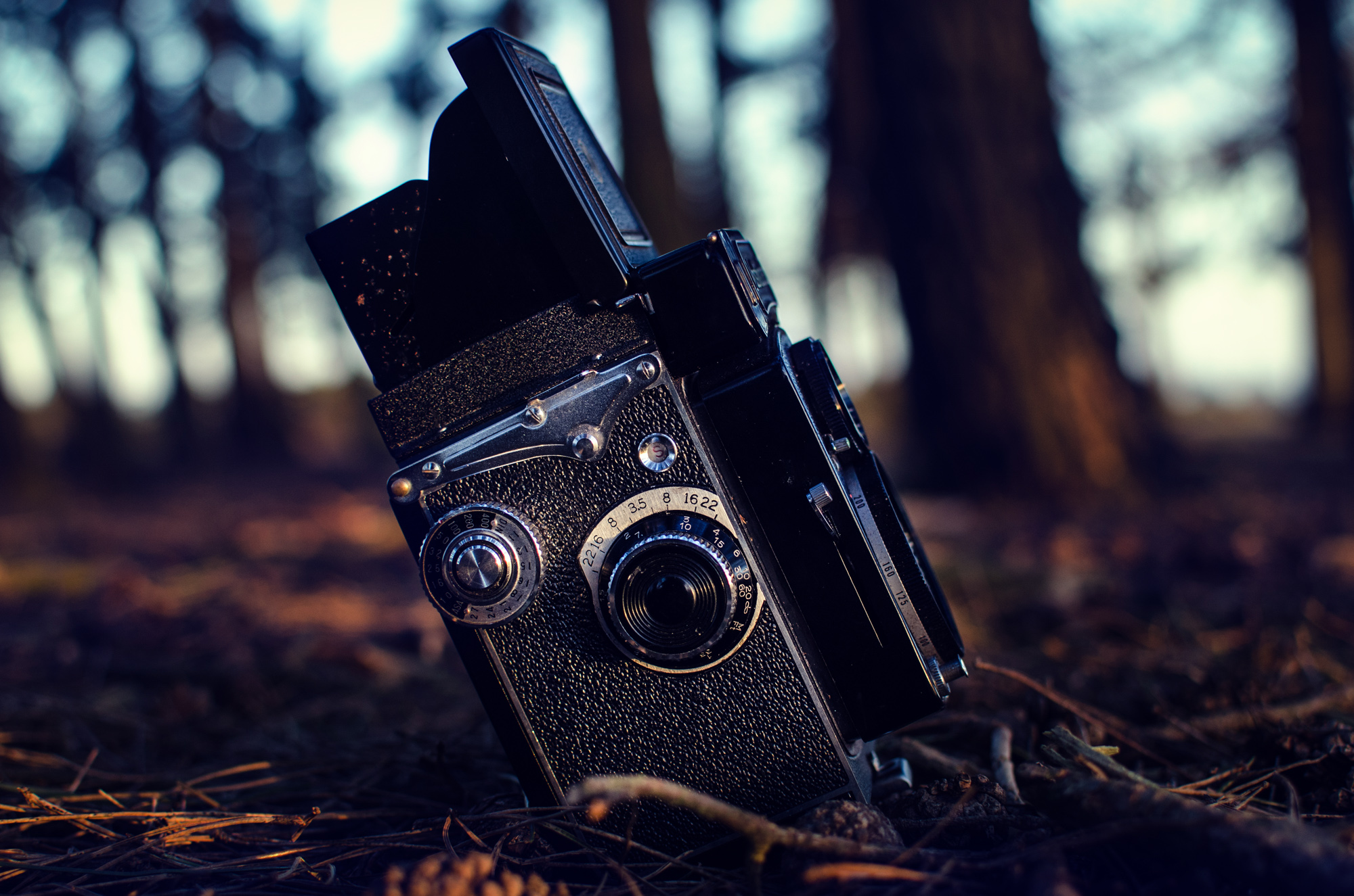 Yashica E TLR by Matt Harquail